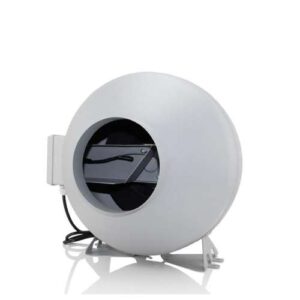 quat hut mui noi ong dong truc